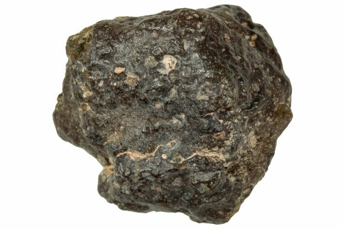 Abadla CM Chondrite Meteorite ( g) - Algeria #313036